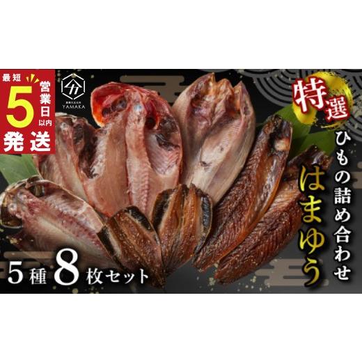 ふるさと納税 干物 静岡県 沼津市 スピード発送 干物 厳選セット 5種 8枚 はまゆう 金目鯛 キンメ あじ 真ほっけ 干物 さば ひもの いわし 干物 醤油 醤油干…