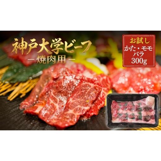ふるさと納税 牛肉 モモ 兵庫県 加西市 神戸牛 神戸大学ビーフ 焼肉用 お試し 300g かた モモ バラ 神戸ビーフ 牛肉 お肉 肉 赤身 焼き肉 アウトドア キャンプ…