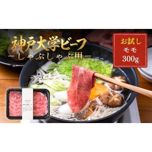 ふるさと納税 牛肉 モモ 兵庫県 加西市 神戸牛 神戸大学ビーフ しゃぶしゃぶ用 お試し 300g モモ 神戸ビーフ 牛肉 お肉 肉 赤身 しゃぶしゃぶ ブランド牛 但馬…