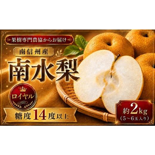 ふるさと納税 梨 長野県 飯田市 9月上旬から発送予定 南信州生まれのジューシーで甘い梨「南水梨」 約2kg 5〜6玉 糖度14.0以上 | 果物 くだもの フルーツ 南…