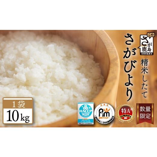 ふるさと納税 米 さがびより 佐賀県 鹿島市 新米 予約受付 さがびより 10kg 令和8年産 佐賀県産 10kg 白米 16年連続 特A 評価 | 米 10kg 白米 10kg 米 さがび…