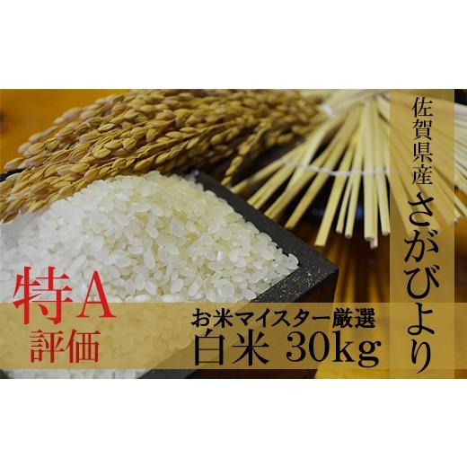 ふるさと納税 米 さがびより 佐賀県 鹿島市 新米 予約受付 令和8年産 佐賀県産 厳選 さがびより 白米 30kg F-9 新米 予約受付 令和8年産