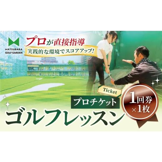 ふるさと納税 体験チケット 埼玉県 草加市 レッスンプロチケット 1回券 | ゴルフ 利用券 レッスン 埼玉県 草加市 50分 1回券