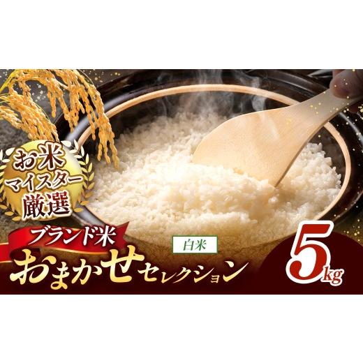 ふるさと納税 米 熊本県 和水町 新米予約 令和8年産 おまかせ セレクション 熊本県産 白米 ひのひかり / 森のくまさん / くまさんの輝き 5kg 単品 | 単一銘…