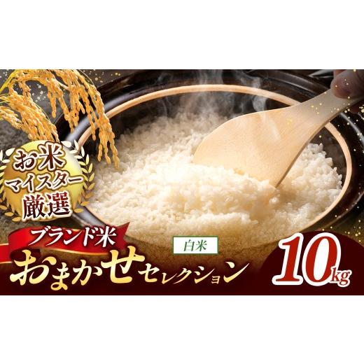 ふるさと納税 米 熊本県 和水町 新米予約 令和8年産 おまかせ セレクション 熊本県産 白米 ひのひかり / 森のくまさん / くまさんの輝き 10kg 単品 | 単一…