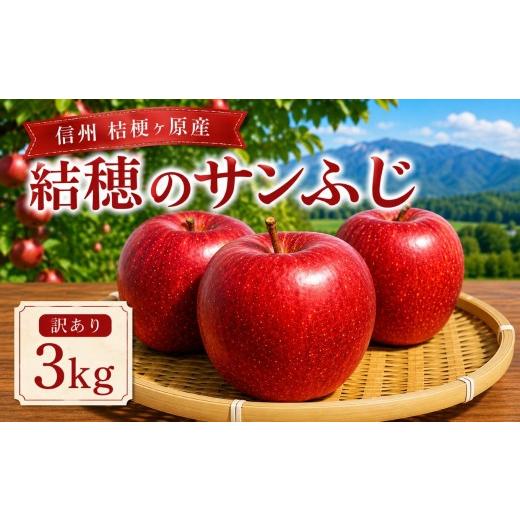 ふるさと納税 りんご 長野県 塩尻市 令和8年産先行予約 訳あり 結穂のサンふじ3kg[2026年12月中旬頃から発送]|訳あり わけあり 訳アリ 家庭用 ご家庭用 り…