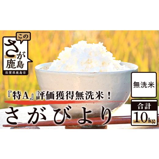 ふるさと納税 無洗米 佐賀県 鹿島市 新米 予約受付 令和8年産 佐賀県産 厳選 さがびより(無洗米)白米 10kg B-446 新米 予約受付 令和8年産