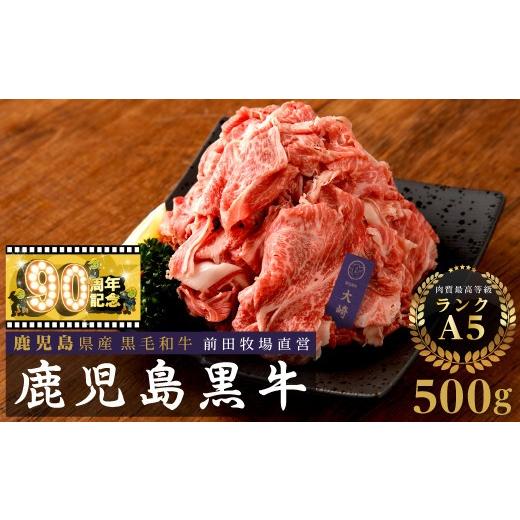 ふるさと納税 牛肉 鹿児島県 大崎町 チョイスメルマガ限定 鹿児島県産黒毛和牛切り落とし500g