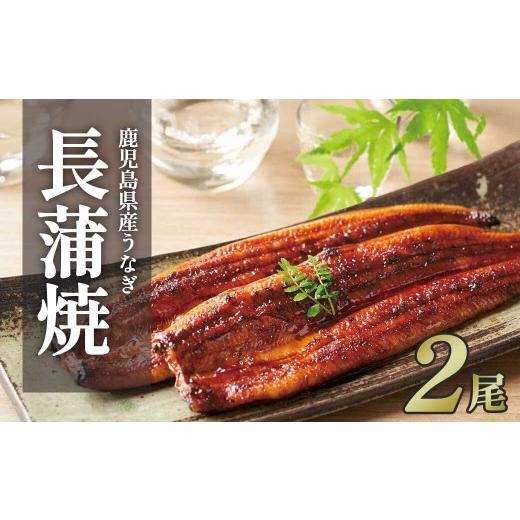 ふるさと納税 うなぎ 鹿児島県 大崎町 チョイスメルマガ限定 鹿児島県産うなぎ長蒲焼2尾 計320g以上