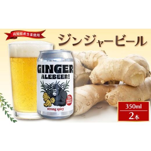 ふるさと納税 ビール 地ビール 高知県 中土佐町 ジンジャービール 2本 セット 350ml 地ビール ビール びーる お酒 さけ 生姜 しょうが ジンジャー BBQ 夏 晩酌…