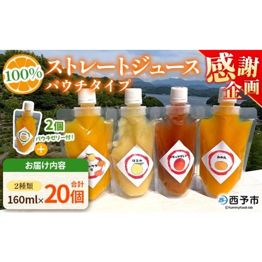 ふるさと納税 果汁飲料 みかん 愛媛県 西予市 感謝企画 100%ストレートジュース パウチタイプ 160ml×20個(2種類×10)+パウチゼリー165g×2個 『1か月以…