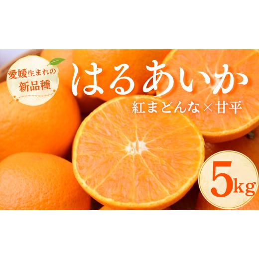ふるさと納税 みかん・柑橘類 愛媛県 上島町 先行受付 はるあいか 5kg 秀S〜4Lサイズ | 紅まどんな × 甘平 みかん 愛媛 愛媛県産みかん 蜜柑 ミカン あいか…