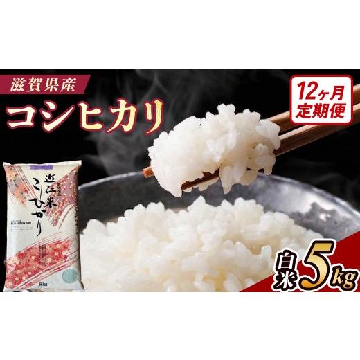 ふるさと納税 米 コシヒカリ 滋賀県 甲賀市 令和8年産 新米 先行予約 定期便 近江米コシヒカリ 5kgx12回定期便(精米) 2026年9月〜発送