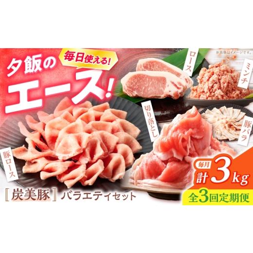 ふるさと納税 豚肉 セット 長崎県 西海市 3回定期便 西海市産 「炭美豚」 豚肉詰め合わせ バラエティセット 計3kg (5種) 宮本畜産 豚肉 セット 豚 便利 し…