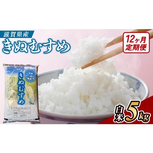 ふるさと納税 米 滋賀県 甲賀市 令和8年産 新米 先行予約 定期便 近江米きぬむすめ 5kgx12回定期便(精米) 2026年9月〜発送