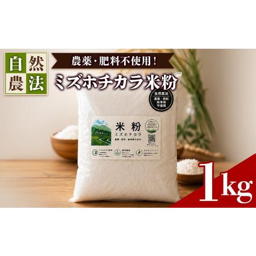 ふるさと納税 米 京都府 福知山市 農薬・肥料不使用 自然農法 ミズホチカラ米粉(1kg) fc-TQ001-A リトリートかるむ 1kg