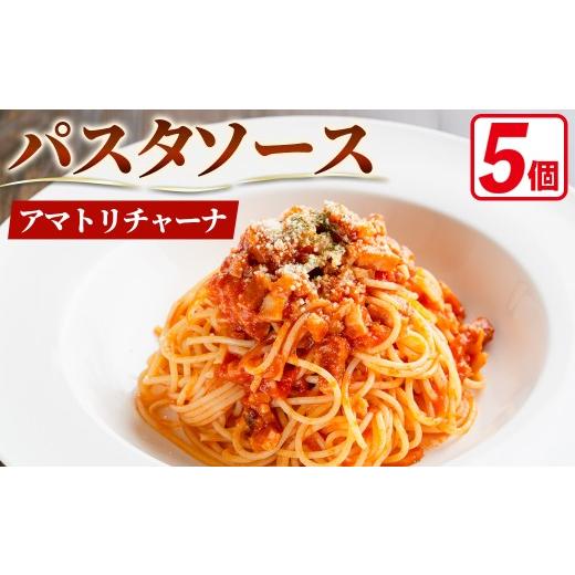 ふるさと納税 パスタ ソース 京都府 福知山市 冷凍パスタソース 5個(アマトリチャーナ(ベーコン・玉ねぎのトマトソース)/150g×5個) fc-DE011 イタリアンレス…