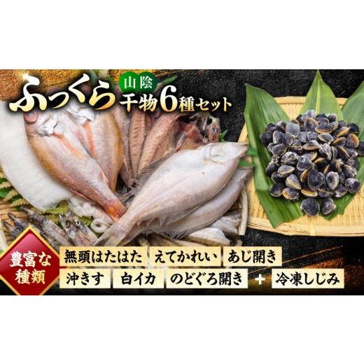 ふるさと納税 干物 アジ 島根県 松江市 日本海(山陰の干物)セット 島根県松江市/有限会社ヤマヲ水産|干物 セット 干物セット ひもの ひものセット 魚介類 …