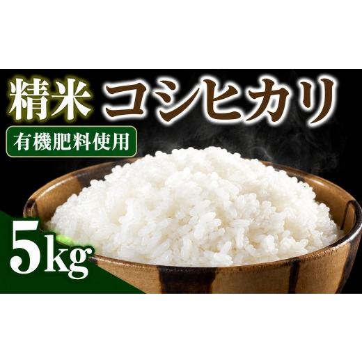 ふるさと納税 米 コシヒカリ 新潟県 見附市 令和8年産 新潟県見附市産 コシヒカリ 精米 5kg 精米 5kg