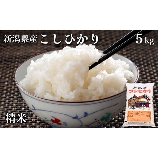 ふるさと納税 米 コシヒカリ 新潟県 見附市 令和8年産 新米 新潟県 こしひかり 精米 5kg 特別栽培米 減農薬 精米5kg