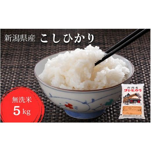 ふるさと納税 無洗米 新潟県 見附市 令和8年産 新米 新潟県 こしひかり 無洗米 5kg 特別栽培米 減農薬 無洗米5kg