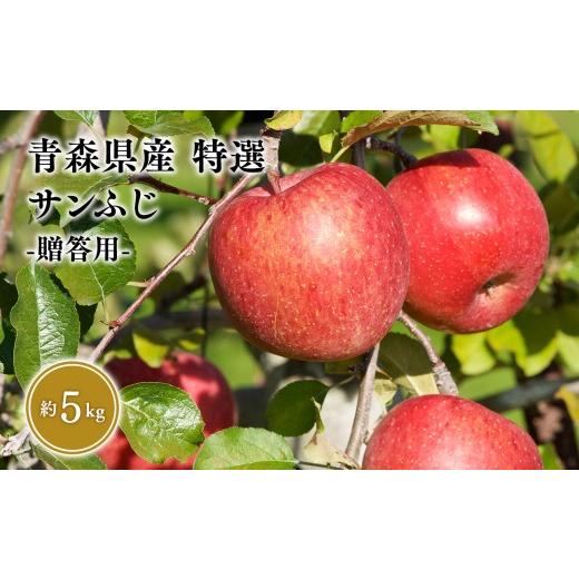 ふるさと納税 りんご 青森県 平川市 1月発送 特選 甚八りんごサンふじ5kg 青森県 平川市 マルジンサンアップル 1月発送 青森 青森県産 平川 りんご リンゴ…