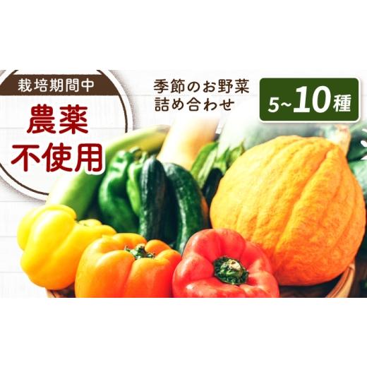 ふるさと納税 セット・詰合せ 広島県 福山市 野菜 季節の野菜詰め合わせ はっとりほたるの里 H2Oファーム 広島県福山市/はっとりほたるの里株式会社 野菜セッ…