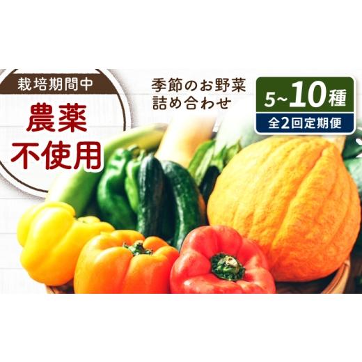 ふるさと納税 セット・詰合せ 広島県 福山市 野菜 全2回定期便 季節の野菜詰め合わせ はっとりほたるの里 H2Oファーム 広島県福山市/はっとりほたるの里株式…