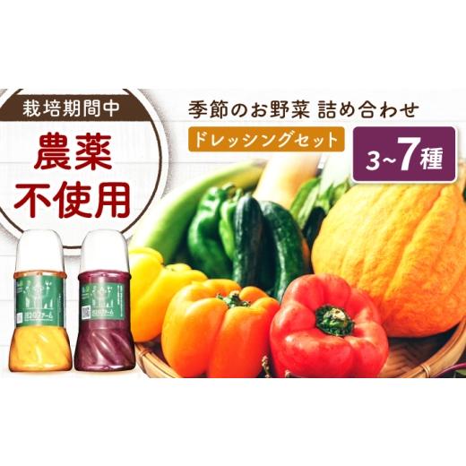 ふるさと納税 セット・詰合せ 広島県 福山市 野菜 季節の野菜と食べる野菜の自家製ドレッシング2種(人参・ビーツ)ドレッシング詰め合わせ はっとりほたるの…