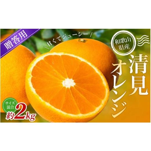 ふるさと納税 みかん・柑橘類 和歌山県 かつらぎ町 贈答用 森本農園の手選別 清見オレンジ 約2kg 和歌山県産 サイズ混合 北海道・沖縄・離島配送不可 2027年2…