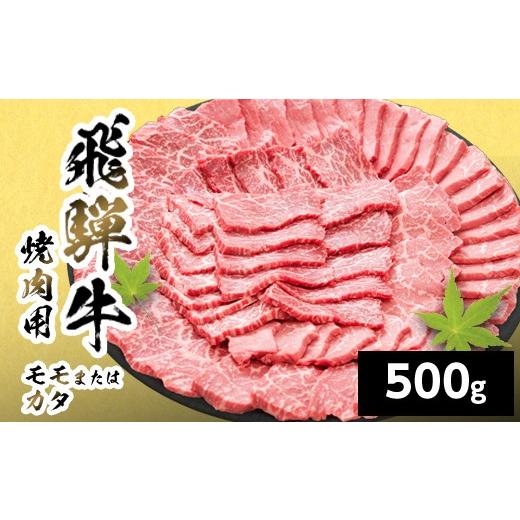 ふるさと納税 牛肉 焼肉・バーベキュー 岐阜県 七宗町 10月発送 飛騨牛 モモまたはカタ 焼肉用 赤身 500g 岐阜県産 詰め合わせ 黒毛和牛 もも かた 赤身 牛肉…