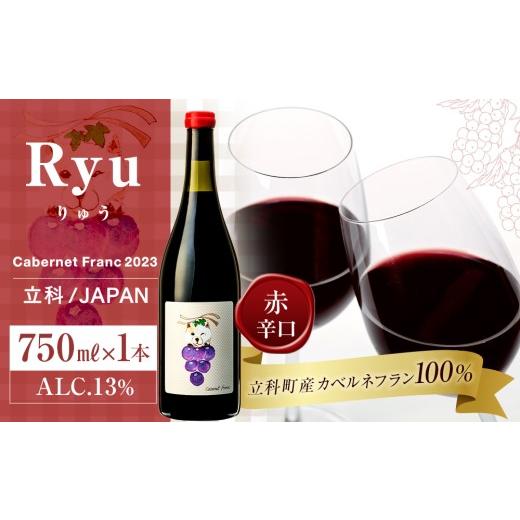ふるさと納税 ワイン 赤ワイン 長野県 立科町 赤ワイン("Ryu") 1本 赤ワイン("Ryu") 1本