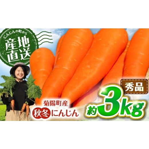 ふるさと納税 野菜類 人参 熊本県 菊陽町 先行予約 2026年11月より順次発送 菊陽秋冬にんじん 秀品 約3kg / にんじん 菊陽にんじん 秋冬にんじん ニンジン …