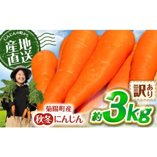 ふるさと納税 野菜類 人参 熊本県 菊陽町 先行予約 2026年11月より順次発送 菊陽秋冬にんじん (訳あり) 約3kg / にんじん 菊陽にんじん 秋冬にんじん ニンジ…