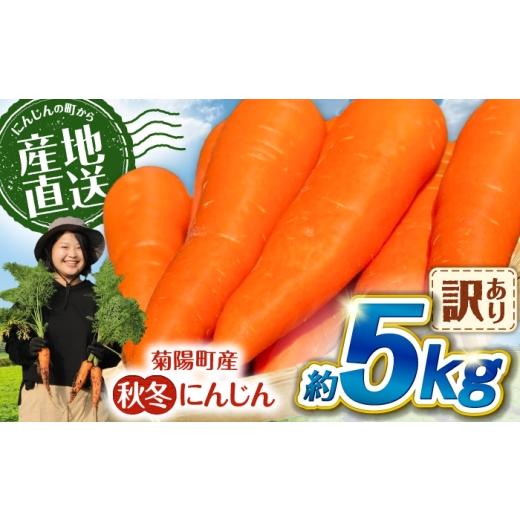 ふるさと納税 野菜類 人参 熊本県 菊陽町 先行予約 2026年11月より順次発送 菊陽秋冬にんじん (訳あり) 約5kg / にんじん 菊陽にんじん 秋冬にんじん ニンジ…