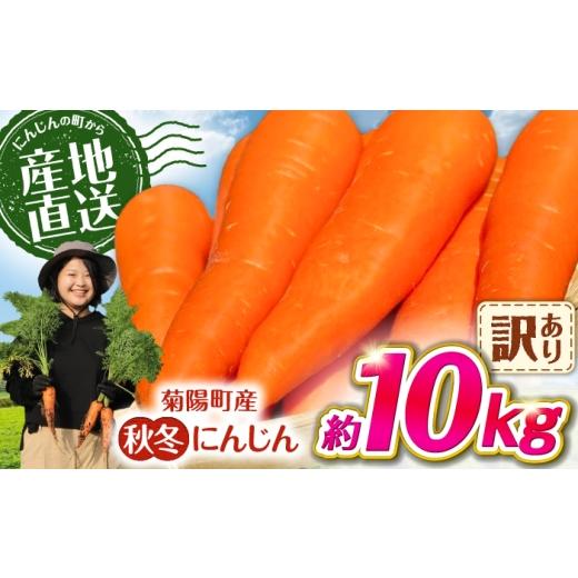 ふるさと納税 野菜類 人参 熊本県 菊陽町 先行予約 2026年11月より順次発送 菊陽秋冬にんじん (訳あり) 約10kg / にんじん 菊陽にんじん 秋冬にんじん ニン…
