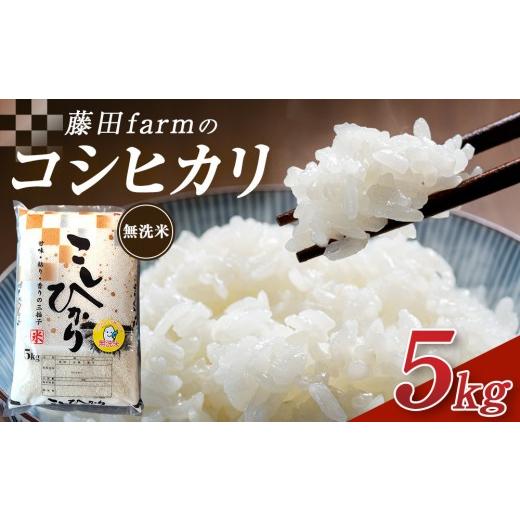 ふるさと納税 米 コシヒカリ 栃木県 大田原市 先行予約受付 10月上旬発送 令和8年産 大田原市 藤田farmのコシヒカリ 無洗米 5kg |栃木県産 米 お米 コメ こ…