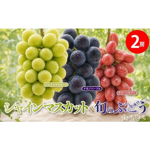 ふるさと納税 ぶどう マスカット 茨城県 鹿嶋市 シャインマスカット ぶどう 食べ比べ 2房 約1.1kg ナガノパープル クイーンセブン クイーンニーナ ぶどう 葡萄…