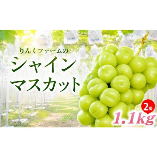 ふるさと納税 ぶどう マスカット 茨城県 鹿嶋市 シャインマスカット 種なし 2房 約1.1kg ぶどう 葡萄 フルーツ 果実 旬 産地直送 ギフト 贈答 プレゼント 贈り…