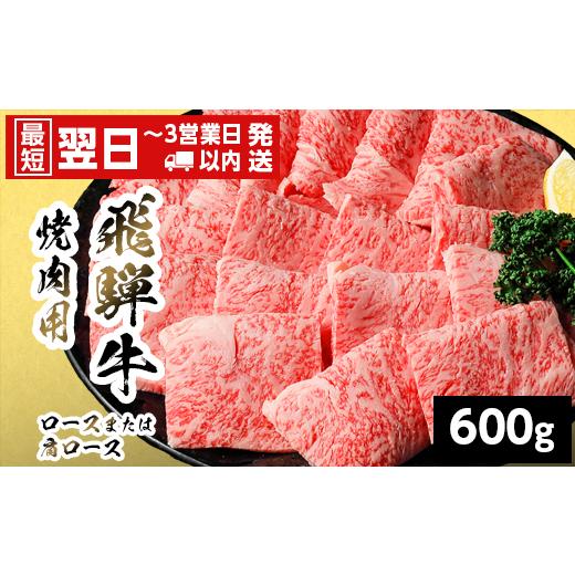 ふるさと納税 牛肉 焼肉・バーベキュー 岐阜県 七宗町 最短発送 飛騨牛 ロースまたは肩ロース 焼肉用 600g 岐阜県産 焼肉 黒毛和牛 カタロース 霜降り 牛肉 …