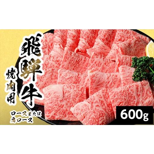 ふるさと納税 牛肉 焼肉・バーベキュー 岐阜県 七宗町 10月発送 飛騨牛 ロースまたは肩ロース 焼肉用 600g 岐阜県産 焼肉 黒毛和牛 カタロース 霜降り 牛肉 …
