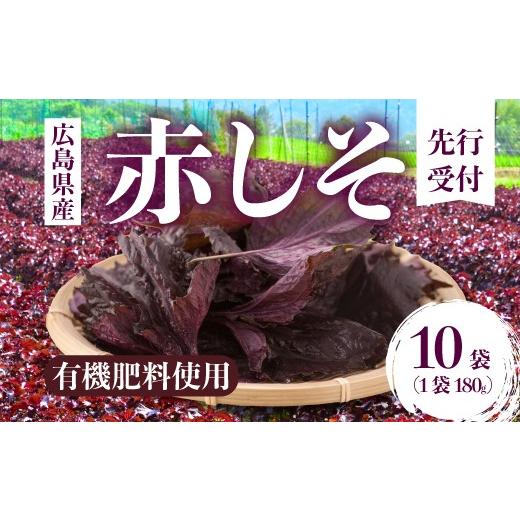 ふるさと納税 薬味・ハーブ 広島県 三原市 先行受付 赤しそ「香」10袋 2027年6月順次発送予定 広島県三原市久井町産 清流の郷 泉 紫蘇 野菜 梅干 薬味 調味料…