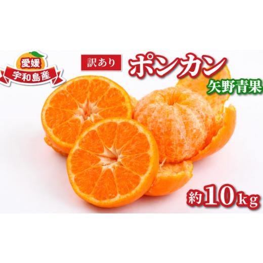 ふるさと納税 果物類 みかん 愛媛県 宇和島市 訳あり ポンカン 約 10kg 矢野青果 わけあり 訳あり品 訳有り 訳アリ 愛媛みかん 愛媛ミカン みかん ミカン ミカ…