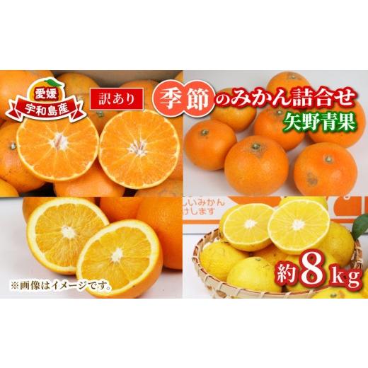 ふるさと納税 果物類 みかん 愛媛県 宇和島市 訳あり 季節 の みかん 詰合せ 約 8kg 矢野青果 フルーツ 詰め合わせ セット 柑橘 ミカン 蜜柑 mikan 果物 くだ…