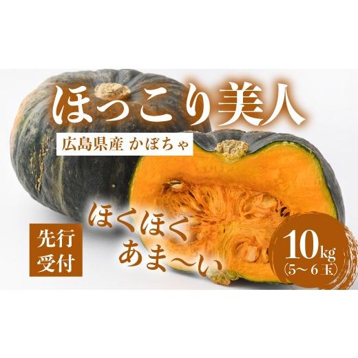 ふるさと納税 野菜類 広島県 三原市 先行受付 かぼちゃ「ほっこり美人」10kg(5〜6玉) 2026年11月下旬より順次発送 広島県三原市久井町産 清流の郷 泉 カボ…