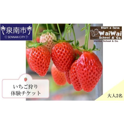 ふるさと納税 体験チケット 大阪府 泉南市 いちご狩り体験ペアチケット(大人2名) ふるさと納税3.0 117D-003