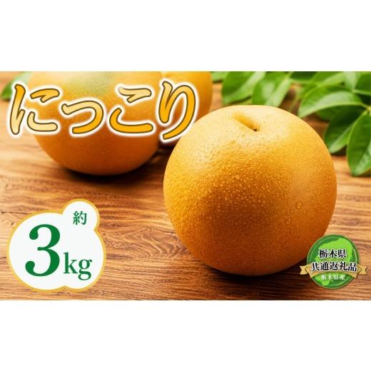 ふるさと納税 梨 栃木県 那珂川町 2026年先行予約 栃木県共通返礼品 宇都宮産 にっこり 3kg | にっこり 新高 豊水 梨 なし 新品種 先行予約 大粒 新鮮 甘い …