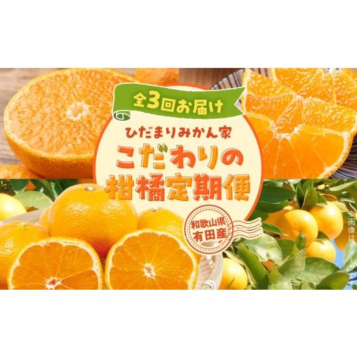ふるさと納税 みかん・柑橘類 和歌山県 湯浅町 こだわり 柑橘 定期便 ひだまりみかん家 3回 お届け 生産者直送 手選別 有田みかん 不知火 清見オレンジ 3種類 …