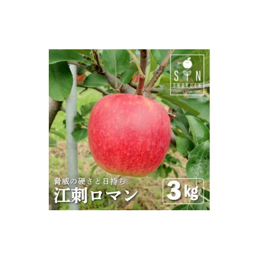 ふるさと納税 りんご 岩手県 遠野市 りんご 早生 江刺ロマン 3kg 松陽園 樹上完熟 農家直送 岩手県 遠野市 先行予約 1768591