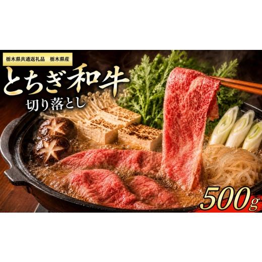 ふるさと納税 牛肉 栃木県 下野市 栃木県共通返礼品 栃木県産 とちぎ和牛 切り落し500g | とちぎ和牛 和牛 牛肉 すきやき しゃぶしゃぶ 切り落とし 栃木県産…